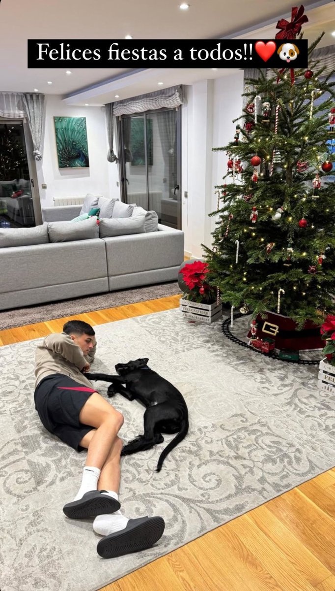 別人曬女友你曬狗，佩德里社媒曬照與愛(ài)犬共度平安夜??</p>
                            <br>
                            <div   id=